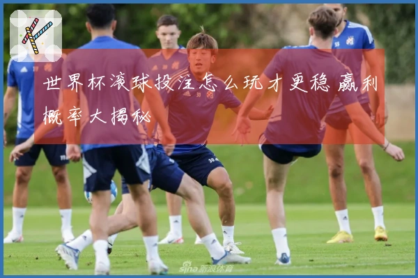 世界杯滚球投注怎么玩才更稳 赢利概率大揭秘