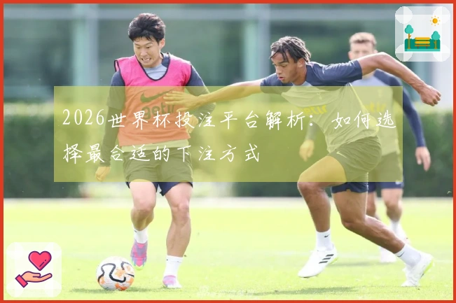 2026世界杯投注平台解析：如何选择最合适的下注方式