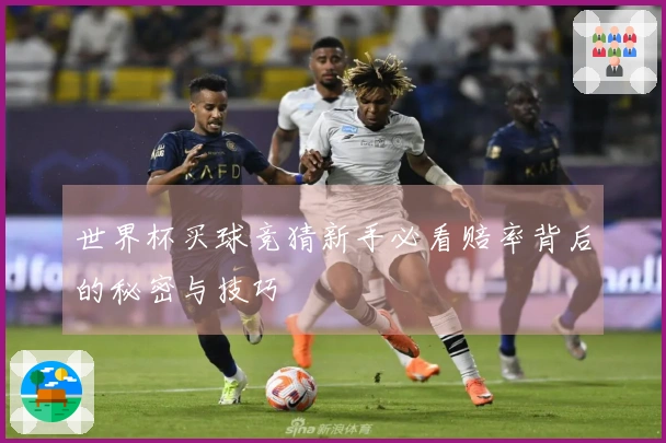 世界杯买球竞猜新手必看赔率背后的秘密与技巧