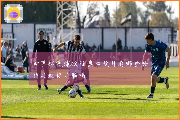 世界杯滚球投注盘口设计有哪些独特之处你了解吗