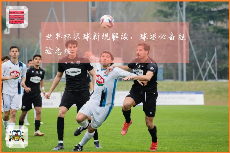 世界杯买球新规解读，球迷必备经验总结